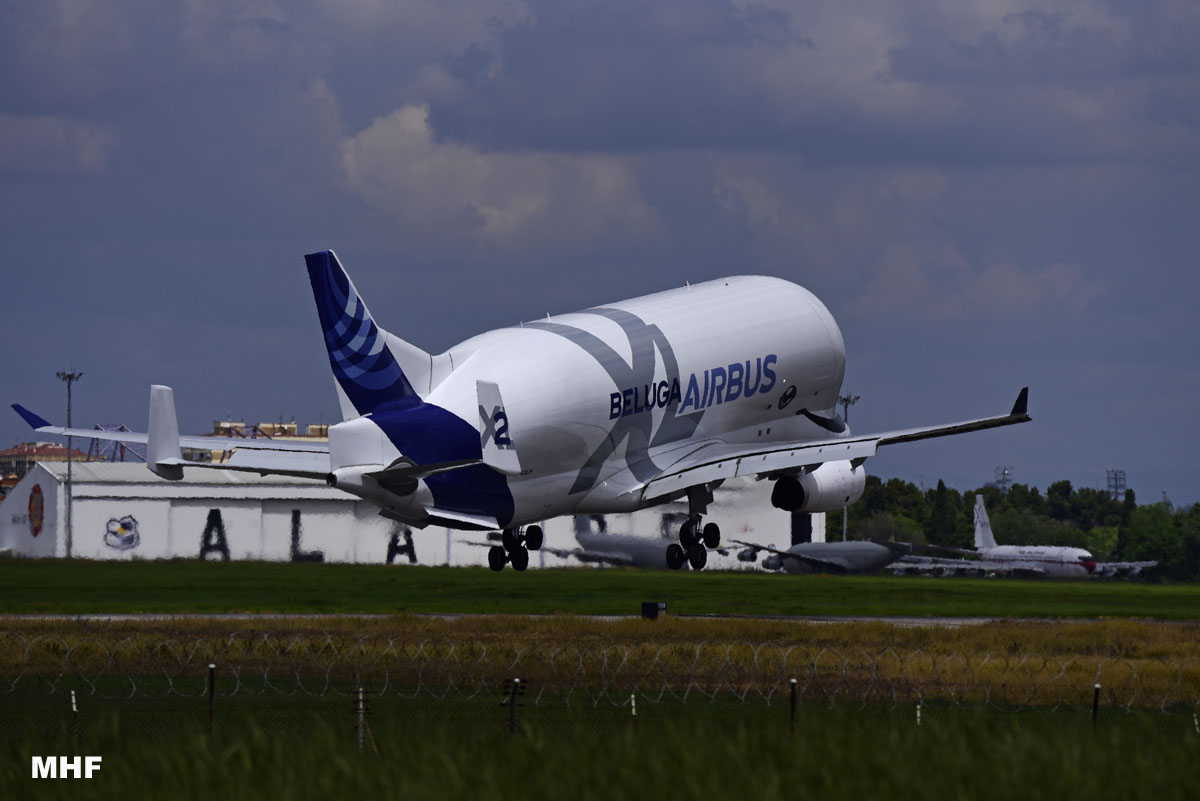 MiguelHF7's tweet photo. Spotting in Getafe
 #spotting #spotters #Airbus #Beluga #baseaereagetafe #airbus #airtransport 
#spotting https://t.co/0GJqA5VJjT