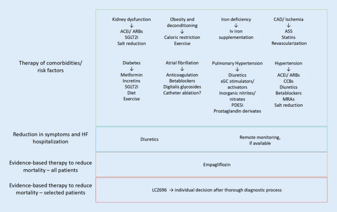 SeguraCardio's tweet photo. 📌Management strategies in #HeartFailure w/ preserved ejection fraction

#HFpEF #CardioEd #CardioTwitter https://t.co/R9hQR5autz