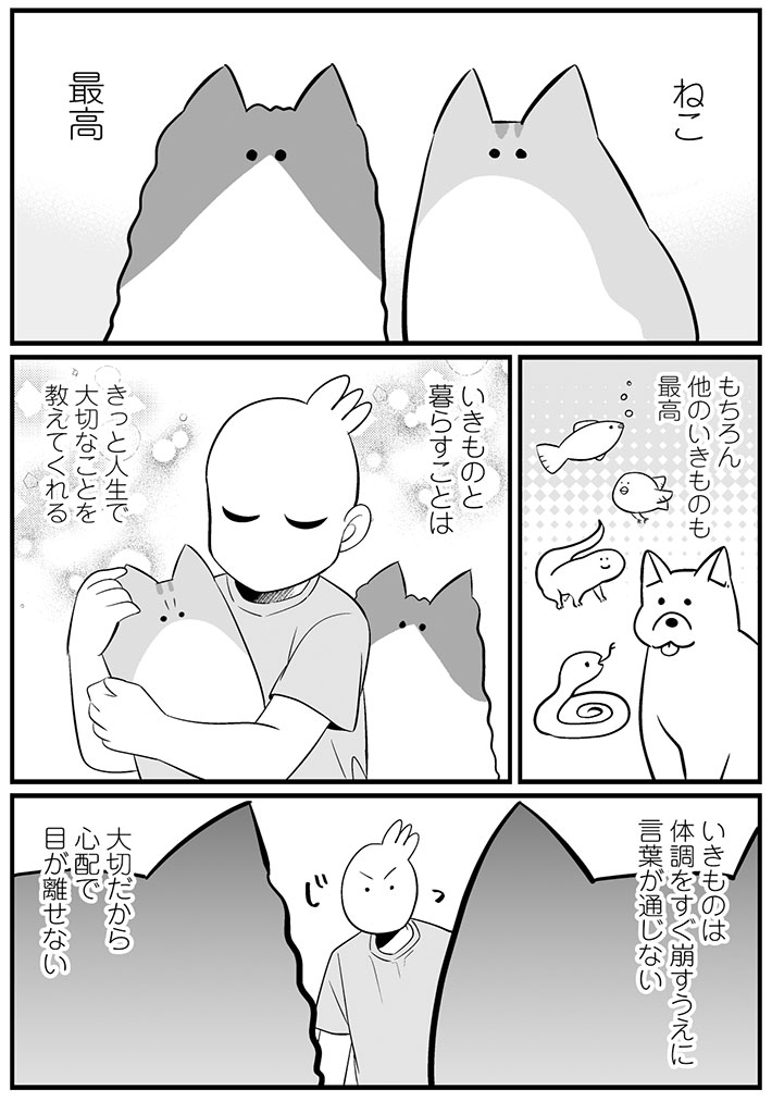 「心に刺さった」 猫と暮らす飼い主の『想い』に、目頭が熱くなる https://t.co/EwkFzFYar4 @grapeejpより 