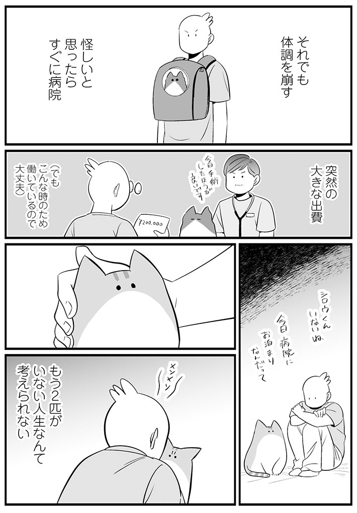 「心に刺さった」 猫と暮らす飼い主の『想い』に、目頭が熱くなる https://t.co/EwkFzFYar4 @grapeejpより 