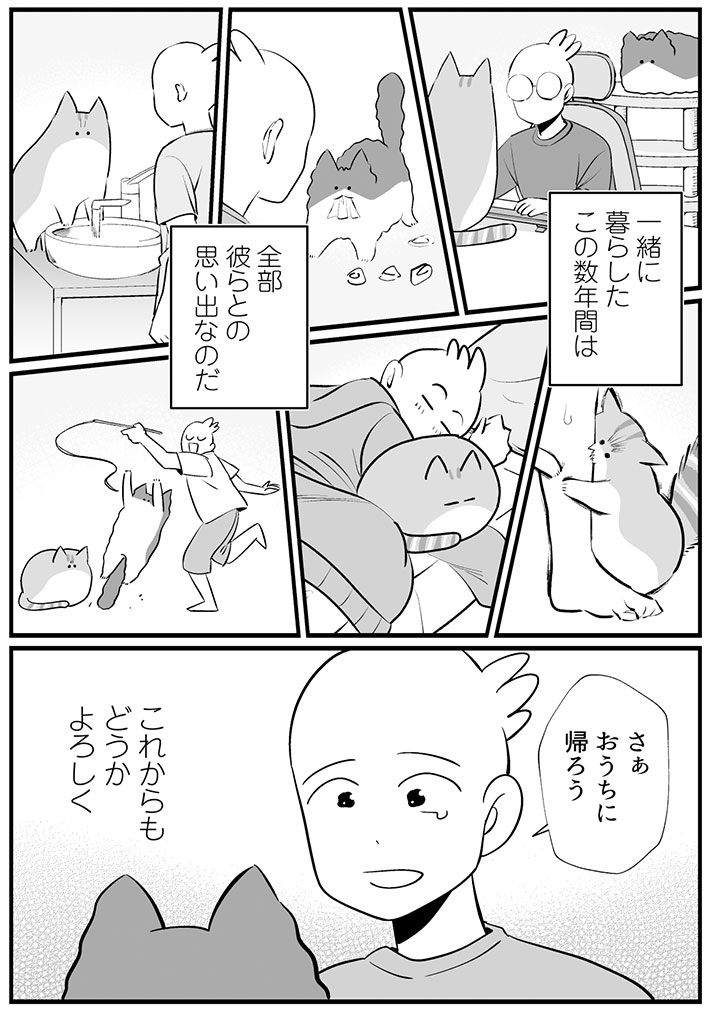「心に刺さった」 猫と暮らす飼い主の『想い』に、目頭が熱くなる https://t.co/EwkFzFYar4 @grapeejpより 