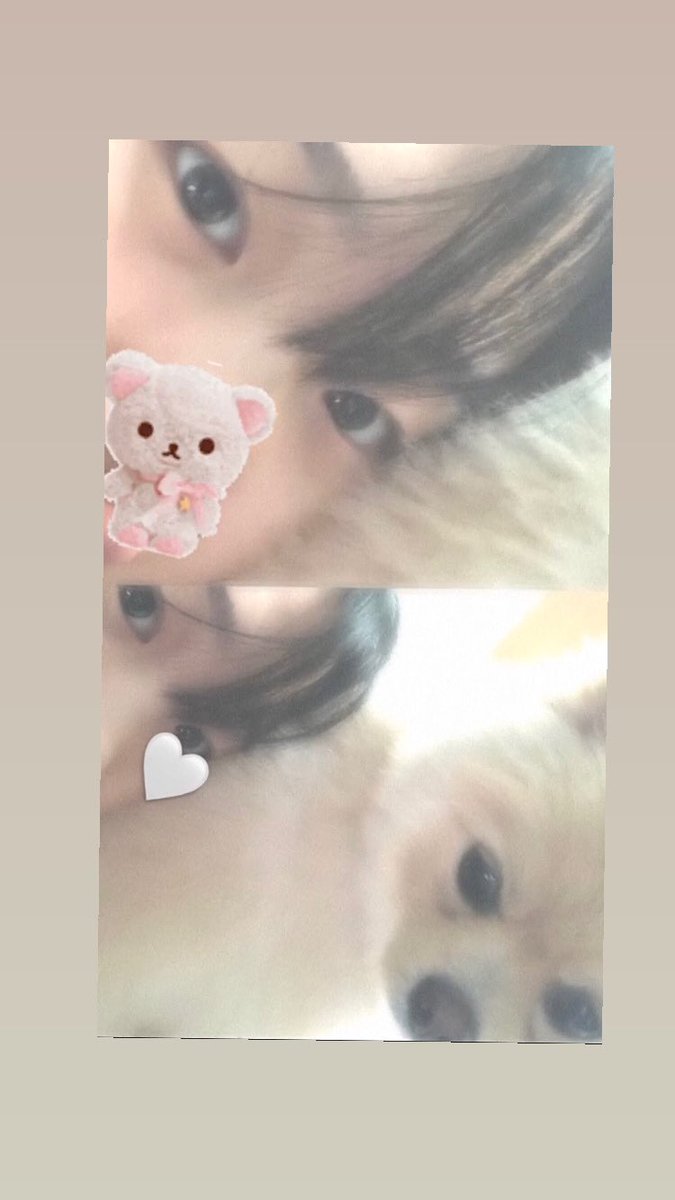 jihe_10's tweet photo. (˵ ͡° ͜ʖ ͡°˵) 🦴 https://t.co/spWAhUSJHD