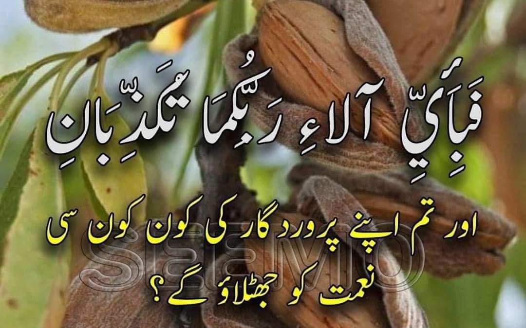 یونس بالاکوٹی tweet media