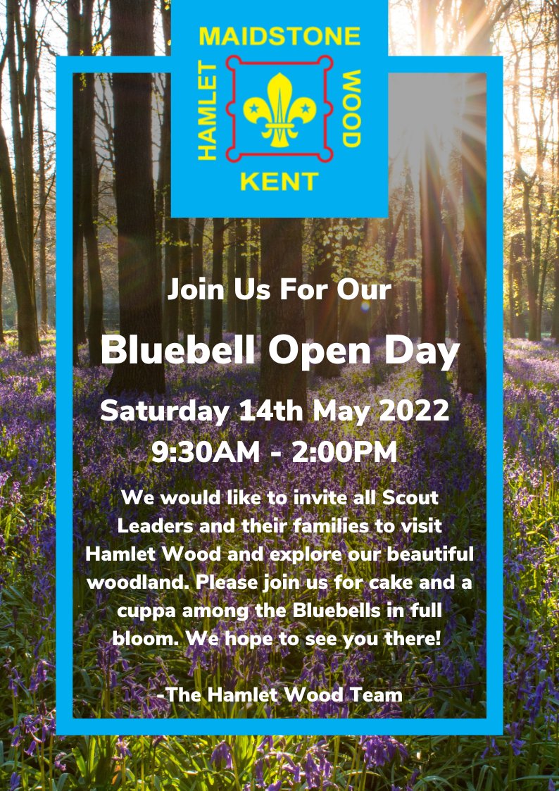 Hamlet_Wood's tweet photo. We would like to invite all Scout Leaders and their families to come and enjoy the Blubells! 🌳

Please note Stockett Lane is and will be closed from Cave Hill junction to Busbridge Road. Diversions are in place. 🚧

- The Hamlet Wood Team https://t.co/NqfFgcD3vj