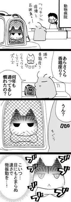 四コマ「震え」

恐ろしく早い微振動(バイブレーション)、オレでなきゃ見逃しちゃうね。

#御かぞくさま御っこう #四コマ漫画 