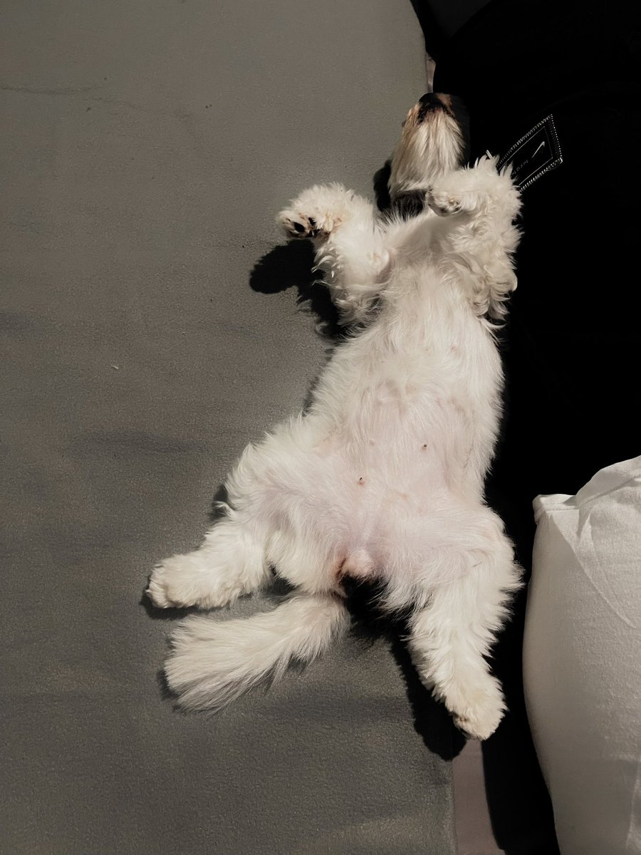 iamludo's tweet photo. Lazy Sundays
#DailySummer https://t.co/tO2Mxjb3qq