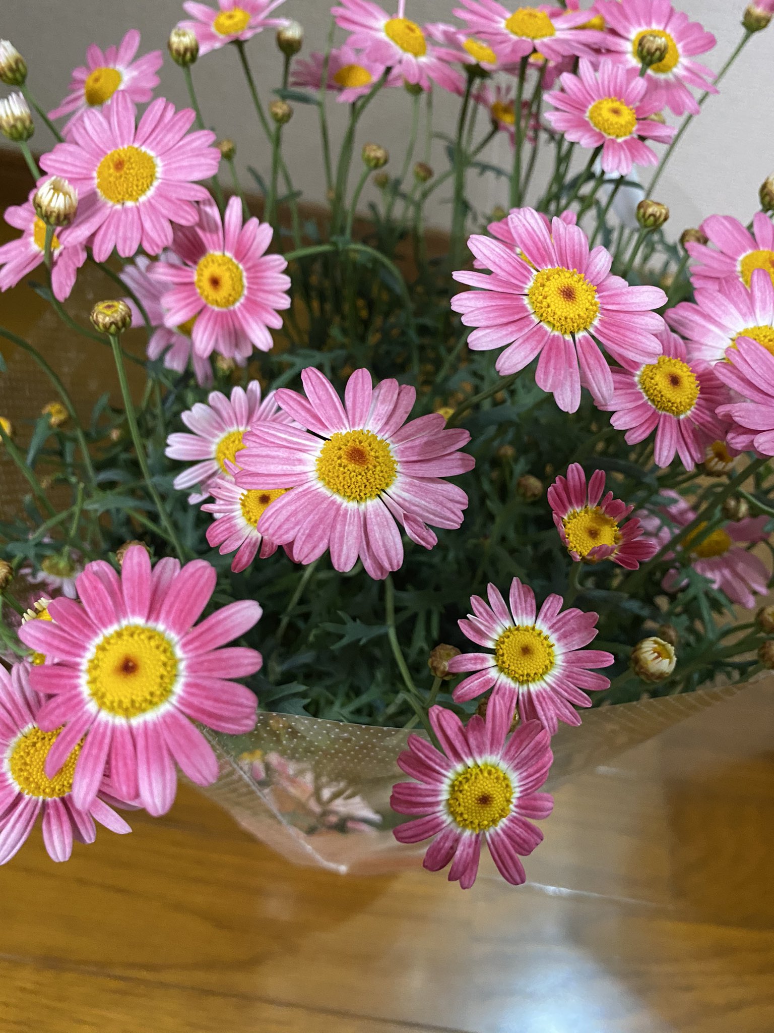 125 母の日で今日は花屋さんへ 本人が欲しいと選んだものをプレゼントしました 手帳ケースも欲しいと言っていたので土浦イオンの中探したけど無くてネットにて注文してプレゼントしました T Co Bxft625byk Twitter