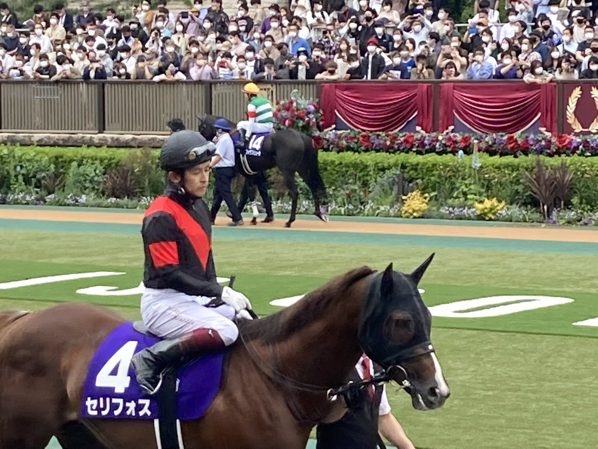 uma_gran's tweet photo. 疲れたぁ🥲
馬券も外れたし散々だけど大好きなお馬さんを近くで見れて嬉しかった😂
お裾分け！(写真撮るの下手すぎw) https://t.co/nXuLEOhqz9