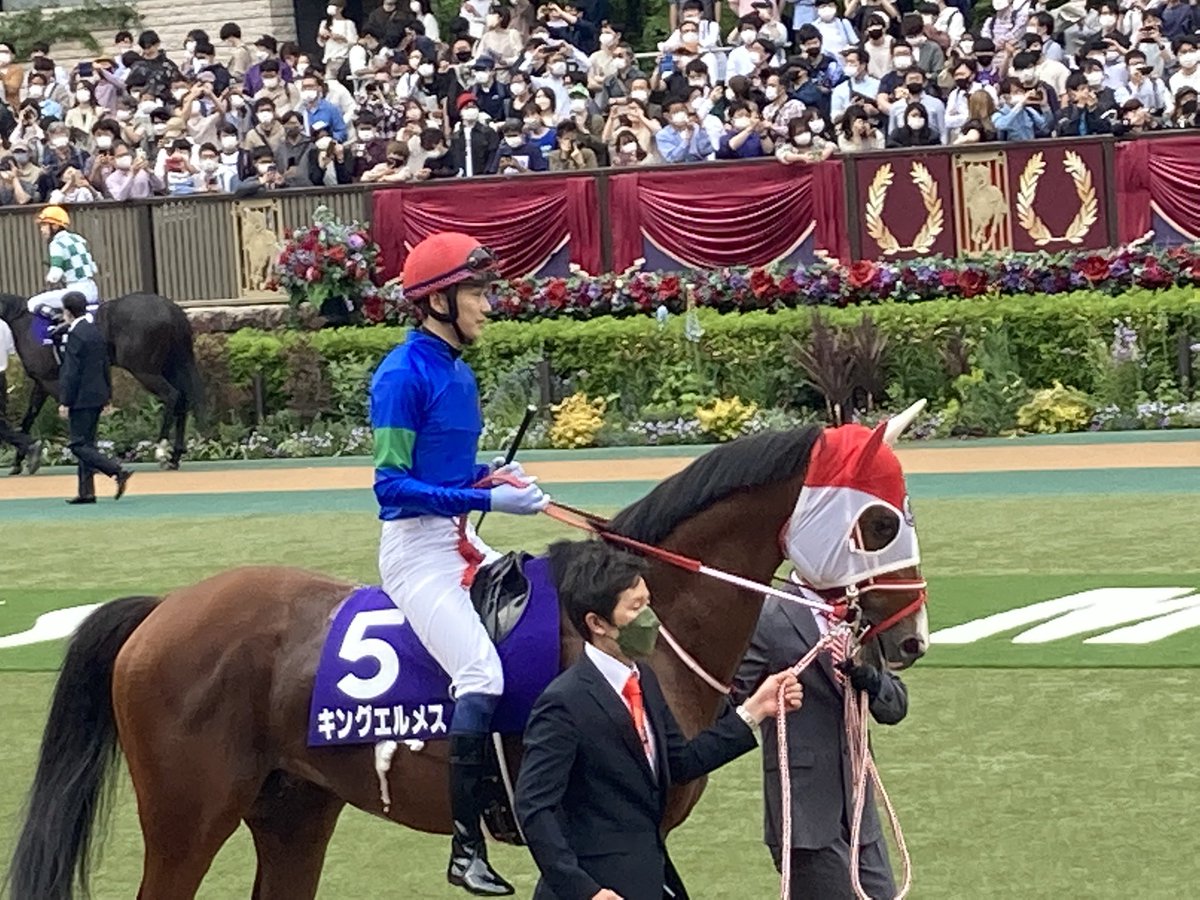 uma_gran's tweet photo. 疲れたぁ🥲
馬券も外れたし散々だけど大好きなお馬さんを近くで見れて嬉しかった😂
お裾分け！(写真撮るの下手すぎw) https://t.co/nXuLEOhqz9