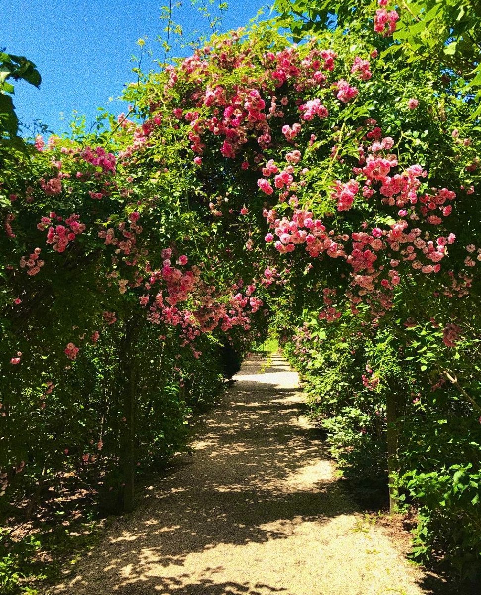 DiscoverLINY's tweet photo. Happy Motherโs Day to all mother roles who selflessly inspire and motivate us each day ๐ธ๐
Click here for Motherโs Day activities and gifts! https://t.co/ijXrsnfejA
๐ธ: @audrey.alan
#discoverlongisland #plantingfieldsarboretum #plantingfields #arboretum #oysterbay https://t.co/VsZG9jnOS9