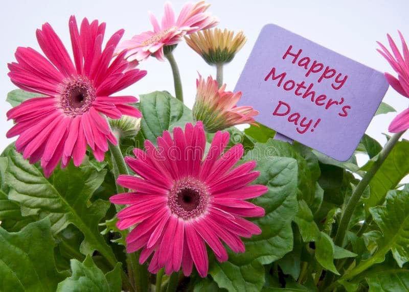 Happy Mother’s Day to our Warrior mms!