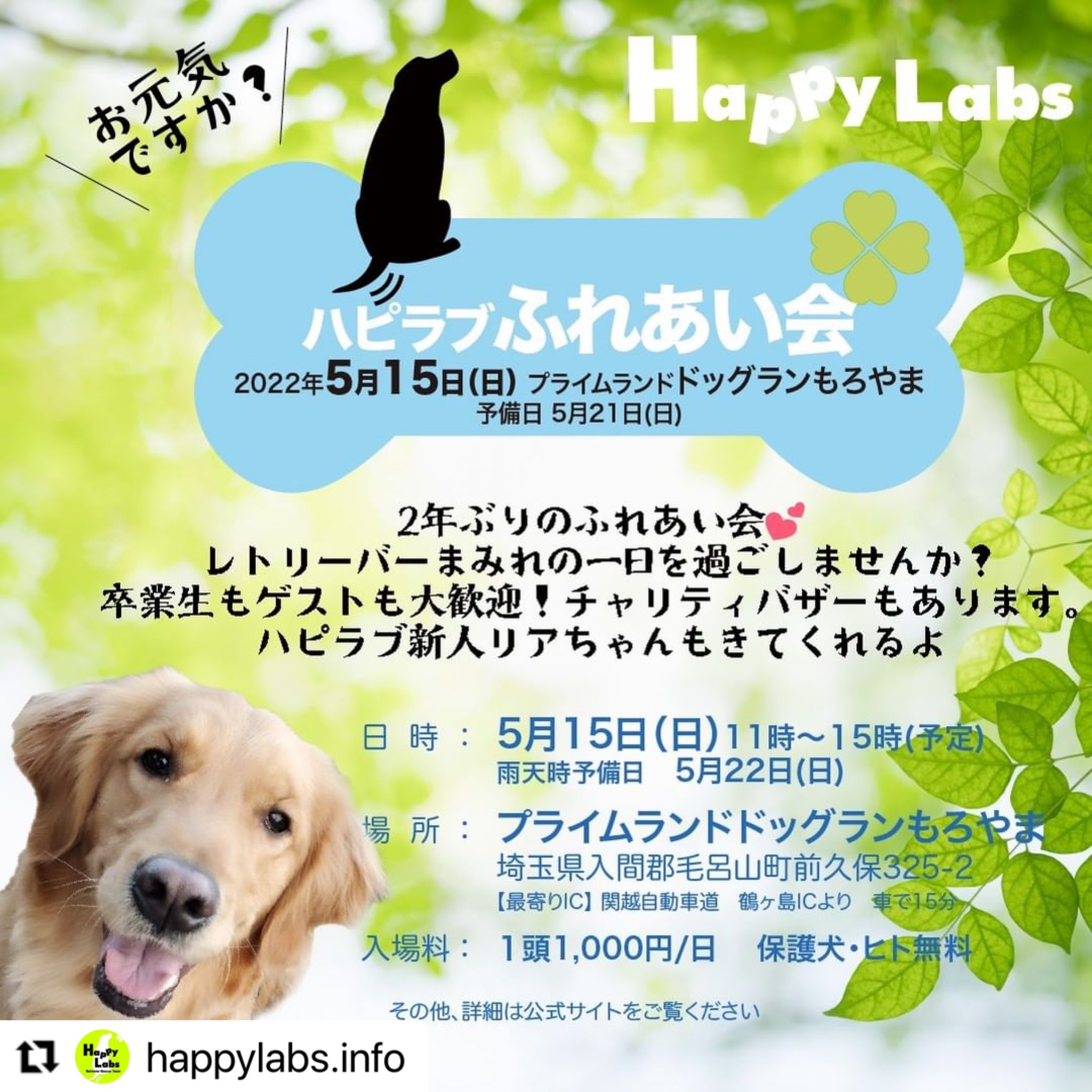 ハッピーラブズ Happylabs Happy Labs Twitter