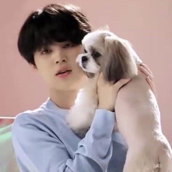 happylillthing's tweet photo. Jimin with his Animal Friends — A cute thread https://t.co/7JRi0QSqz6