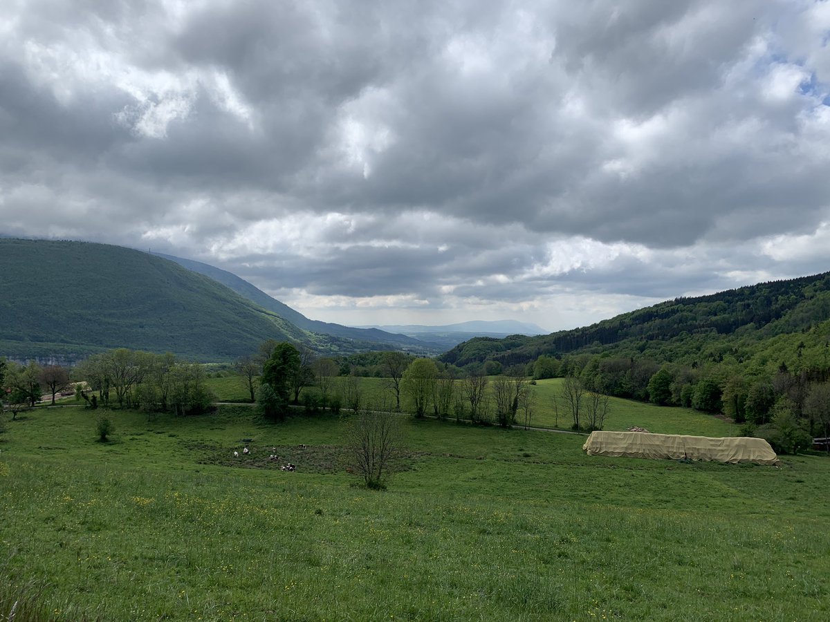 Polypolyrobrob tweet media