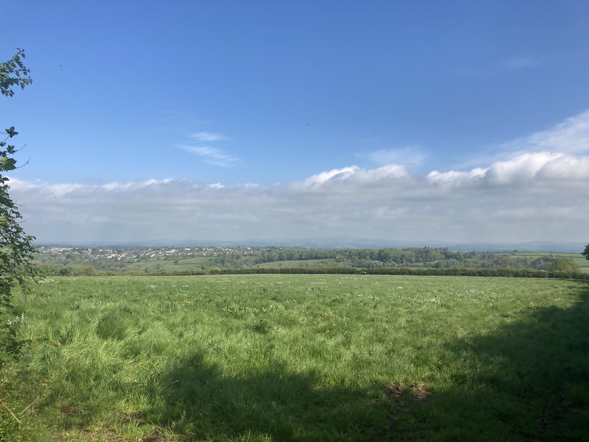 ClareHewitt19's tweet photo. Hot out there today! Note to self … leave earlier! ☀️ 🥵🏃‍♀️ https://t.co/IZQtdAGfyJ