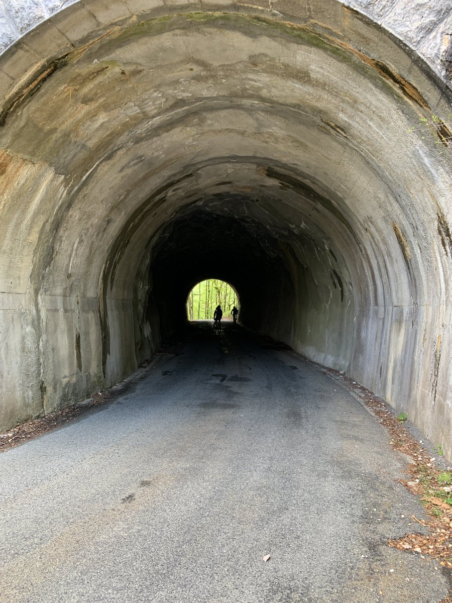 Polypolyrobrob tweet media