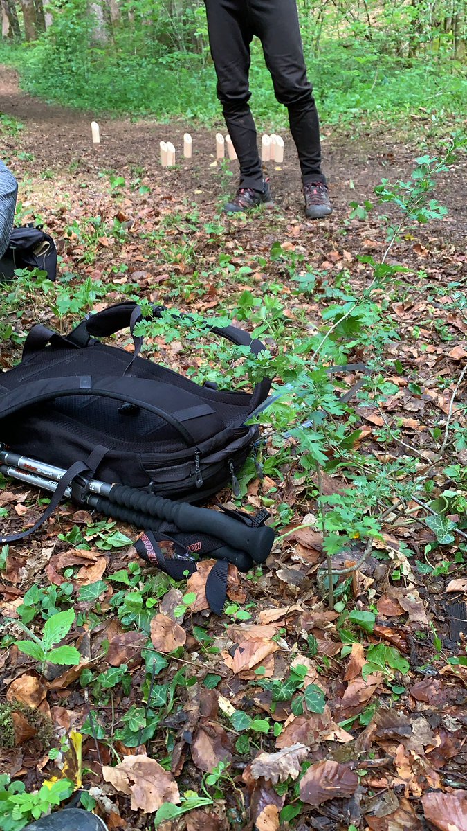 Polypolyrobrob tweet media