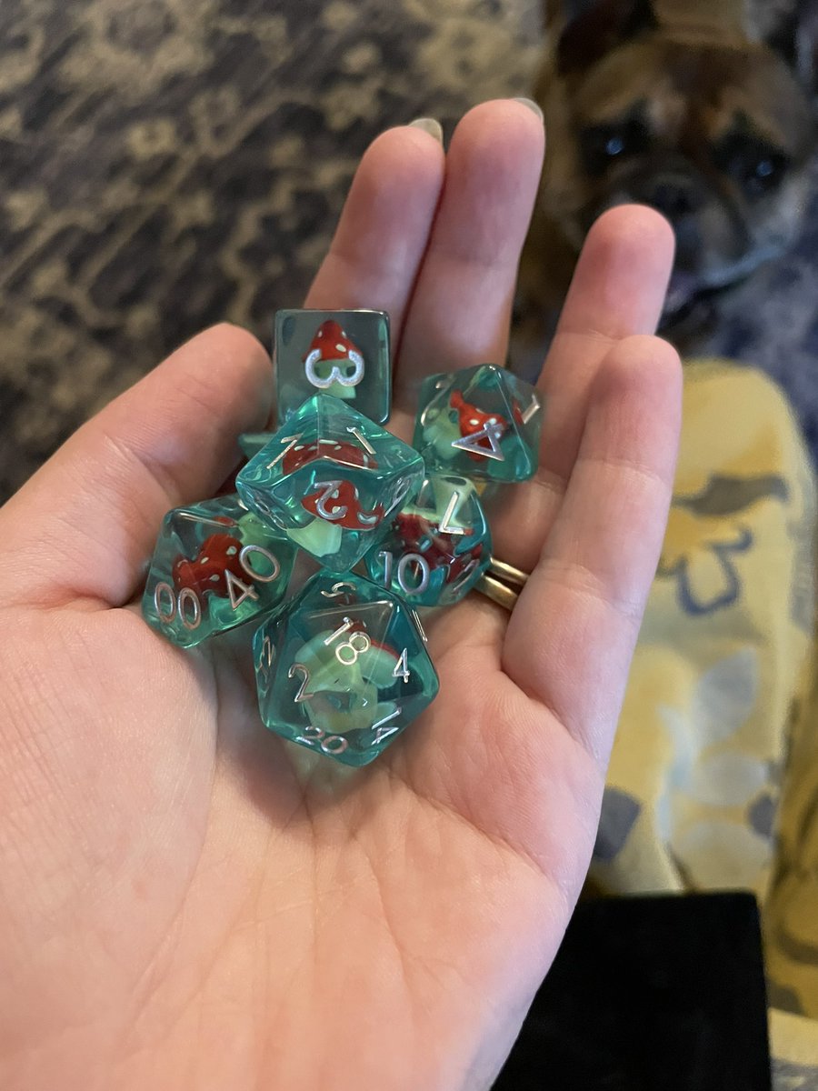 paintedpenroses's tweet photo. Credit to Ari (of #questfriends fame) for finding one of the most Emily gifts possible https://t.co/WuRRqCcLvD