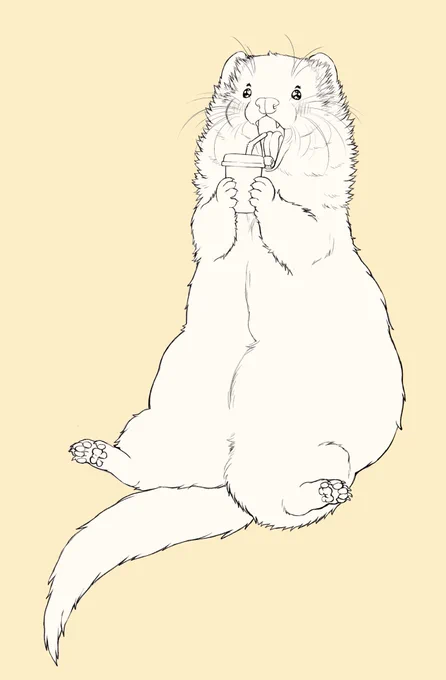 🥤✨✨✨ 