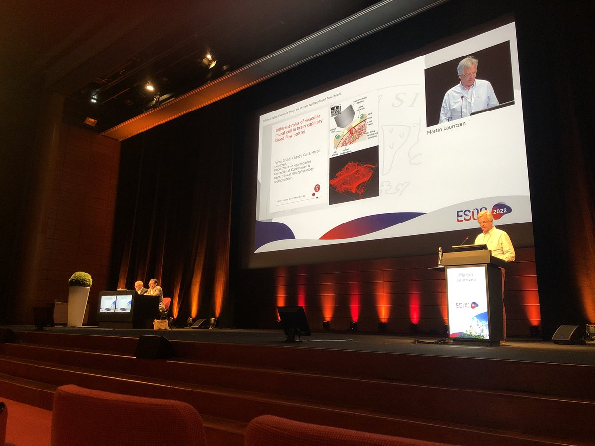 AxL_Montagne's tweet photo. I really enjoyed our vascular symposium at #ESOC2022. @MartinMlauritz gave a very interesting talk titled “Different role of vascular mural cell in brain capillary blood flow control”. Nice discussions, nice diner @iclyonhoteldieu, a collaboration will emerge soon! #microvessels https://t.co/9wWK7GdMZO