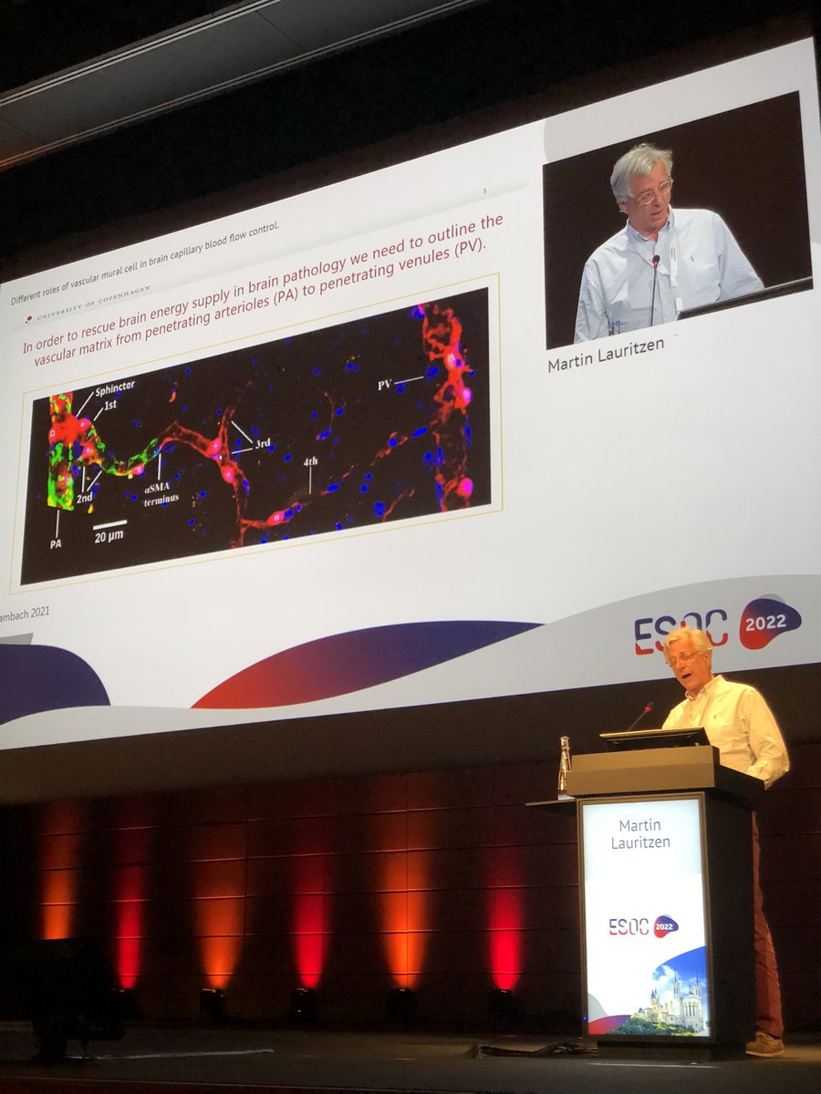 AxL_Montagne's tweet photo. I really enjoyed our vascular symposium at #ESOC2022. @MartinMlauritz gave a very interesting talk titled “Different role of vascular mural cell in brain capillary blood flow control”. Nice discussions, nice diner @iclyonhoteldieu, a collaboration will emerge soon! #microvessels https://t.co/9wWK7GdMZO