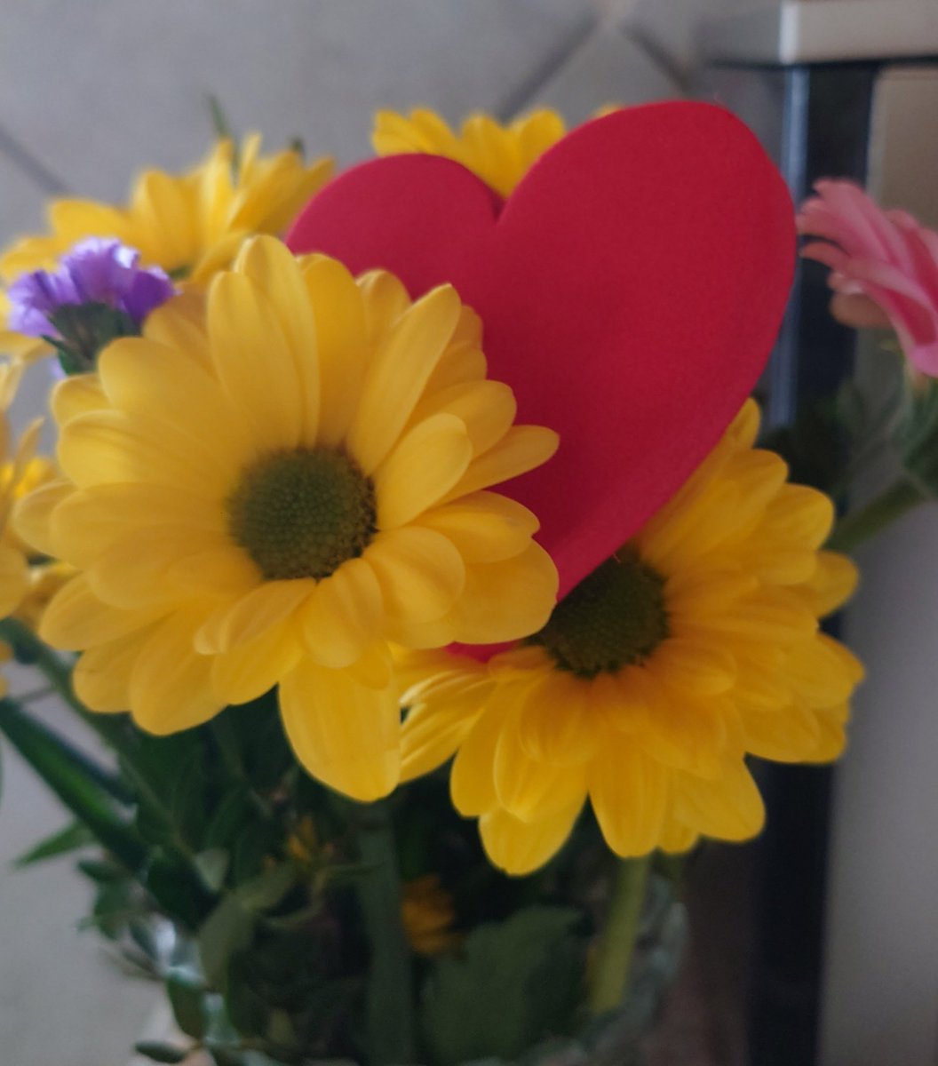 fehr_hoffmann's tweet photo. Ich wünsche allen #Mamas / #mums / #Muttis / #Mütter / #Mummys einen wunderschönen #Muttertag und danke auch allen Papas / Dads / Vatis / Väter / Daddy's, welche die Frauen aktiv unterstützen und die Frau nicht im Stich oder alleine in der Erziehung lassen ! https://t.co/WGOCxJxuJu