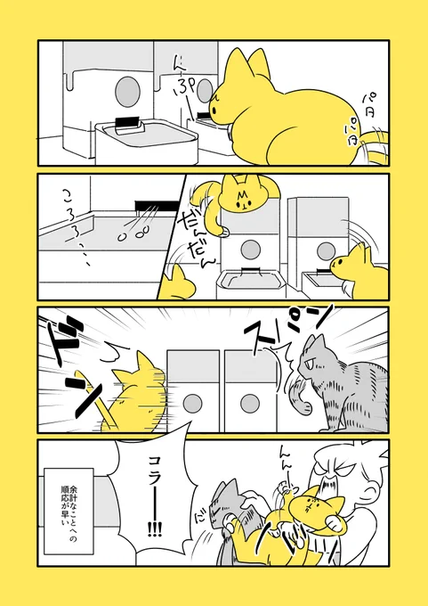 猫と子猫と自動給餌器 
https://t.co/O0VHStekx9 
