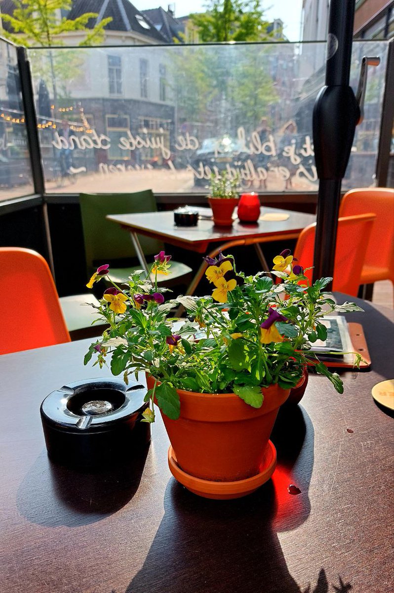 CafeDeOpstand's tweet photo. Heerlijk weertje vandaag en vanaf 15.00 zijn we weer open en ons terras ook 🌞
#lente #zon #terras #welkom  #nijmegen #cafè #cafedeopstand #vanwelderenstraat #iedereeniswelkom❤️ #centrum #gezellig #uitgaantip https://t.co/3vFDqhplu0