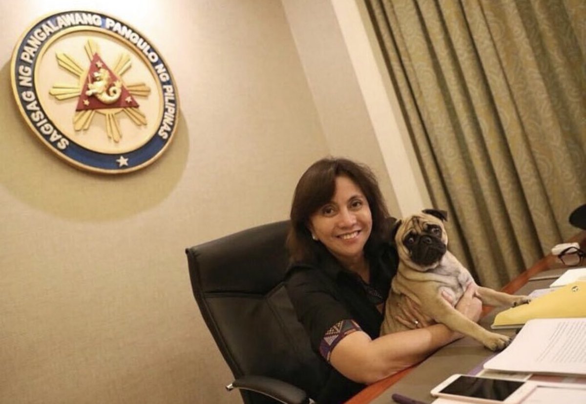 judeisjude's tweet photo. i’m gonna need Leni Robredo to win as president because we need a pug as a presidential pet https://t.co/wrJaJZi7yX