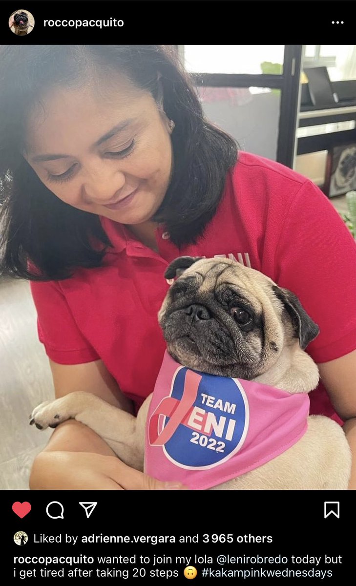 judeisjude's tweet photo. i’m gonna need Leni Robredo to win as president because we need a pug as a presidential pet https://t.co/wrJaJZi7yX