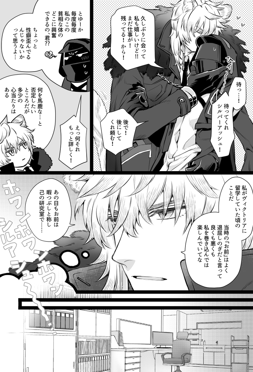 付き合ってる銀博の話。
ヴィクトリア留学時代の話をしよう。

※留学先で出会ってる&ドクター年上設定。
※以前そこでシルバーアッシュと出会ったようだということは知っているが詳細までは知らないドクターがいます。
※今も昔も銀博な話。 