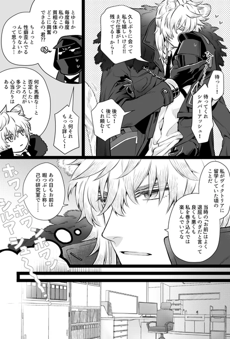 付き合ってる銀博の話。
ヴィクトリア留学時代の話をしよう。

※留学先で出会ってる&ドクター年上設定。
※以前そこでシルバーアッシュと出会ったようだということは知っているが詳細までは知らないドクターがいます。
※今も昔も銀博な話。 