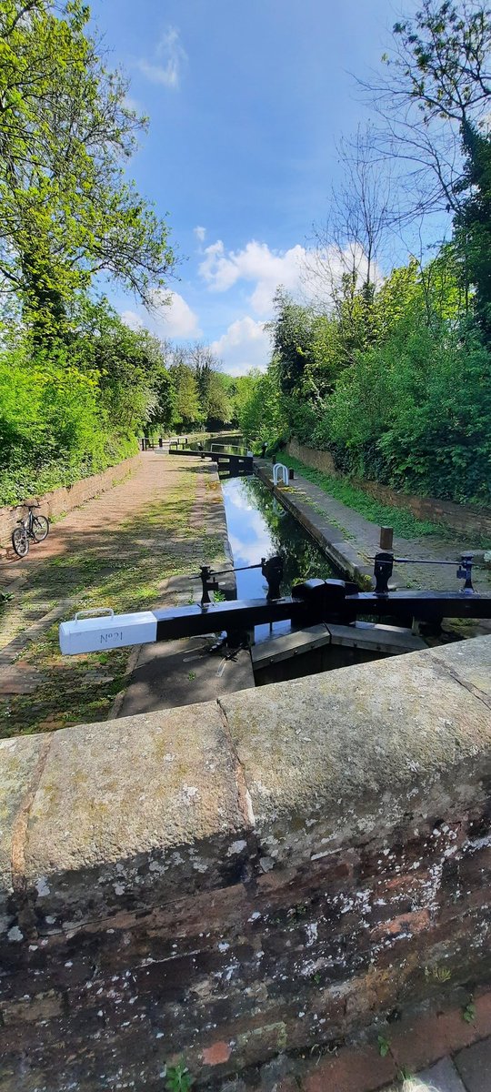 MKaszowska's tweet photo. You do no need to look far the beauty is just by 🗺🧭 #walk #WeAHPActive #nature https://t.co/AsPUC0ex9u