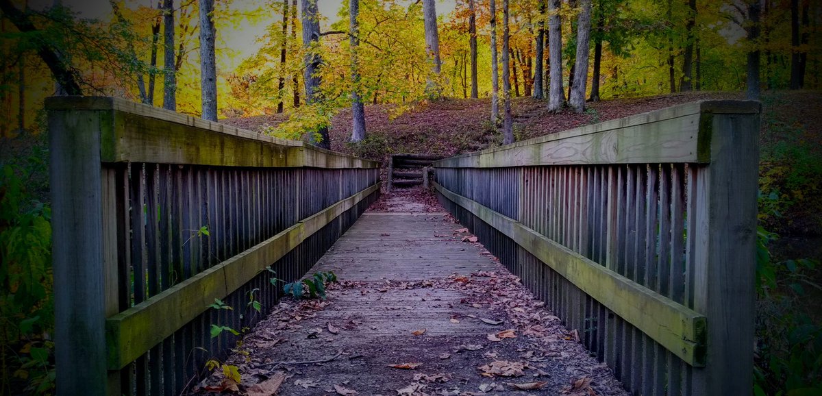 MissyElardi8016's tweet photo. #elardiphotography #bridges #murphylake #southernillinois #murphysboro #beauty https://t.co/w3kuxzhA5L