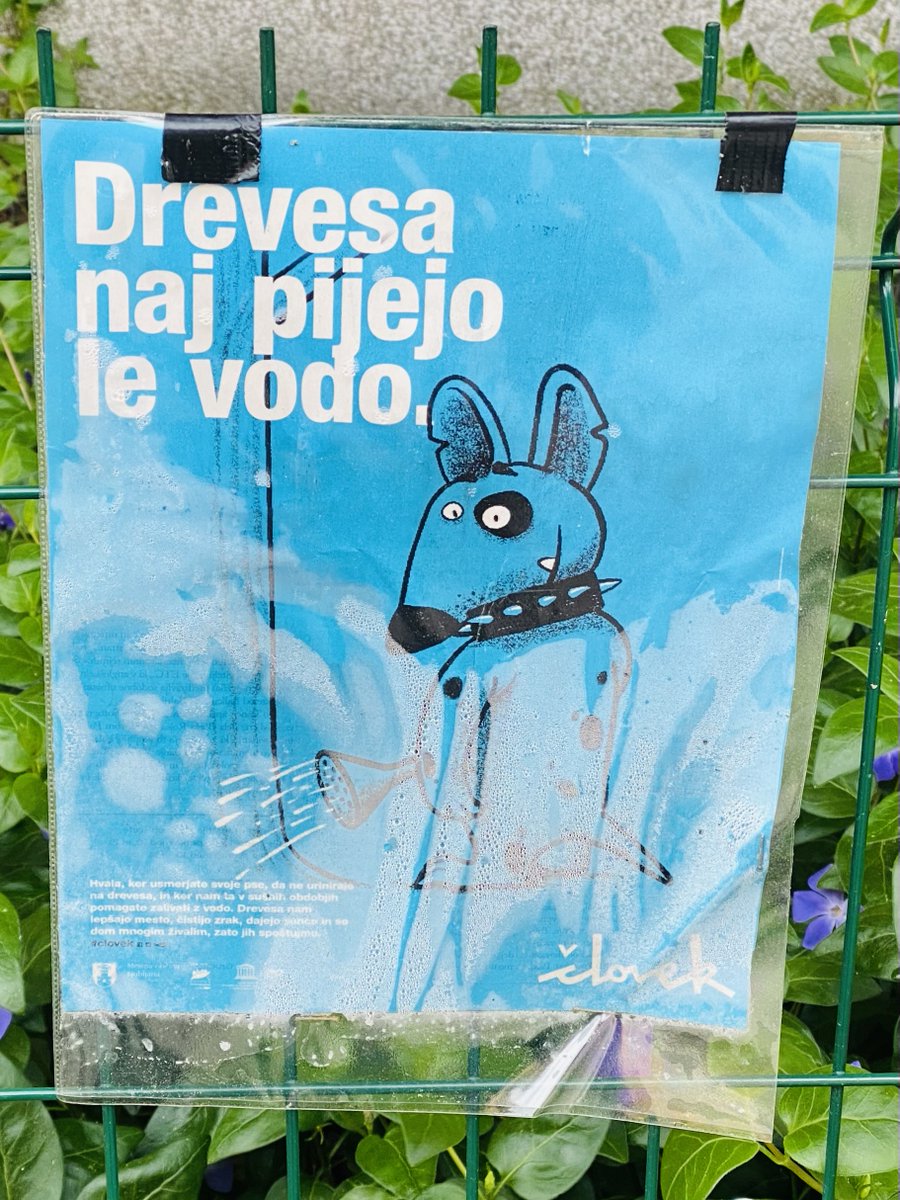 OMB! Po novem je treba pse zdresirat, da lulajo samo ob zid in druge nežive predmete?