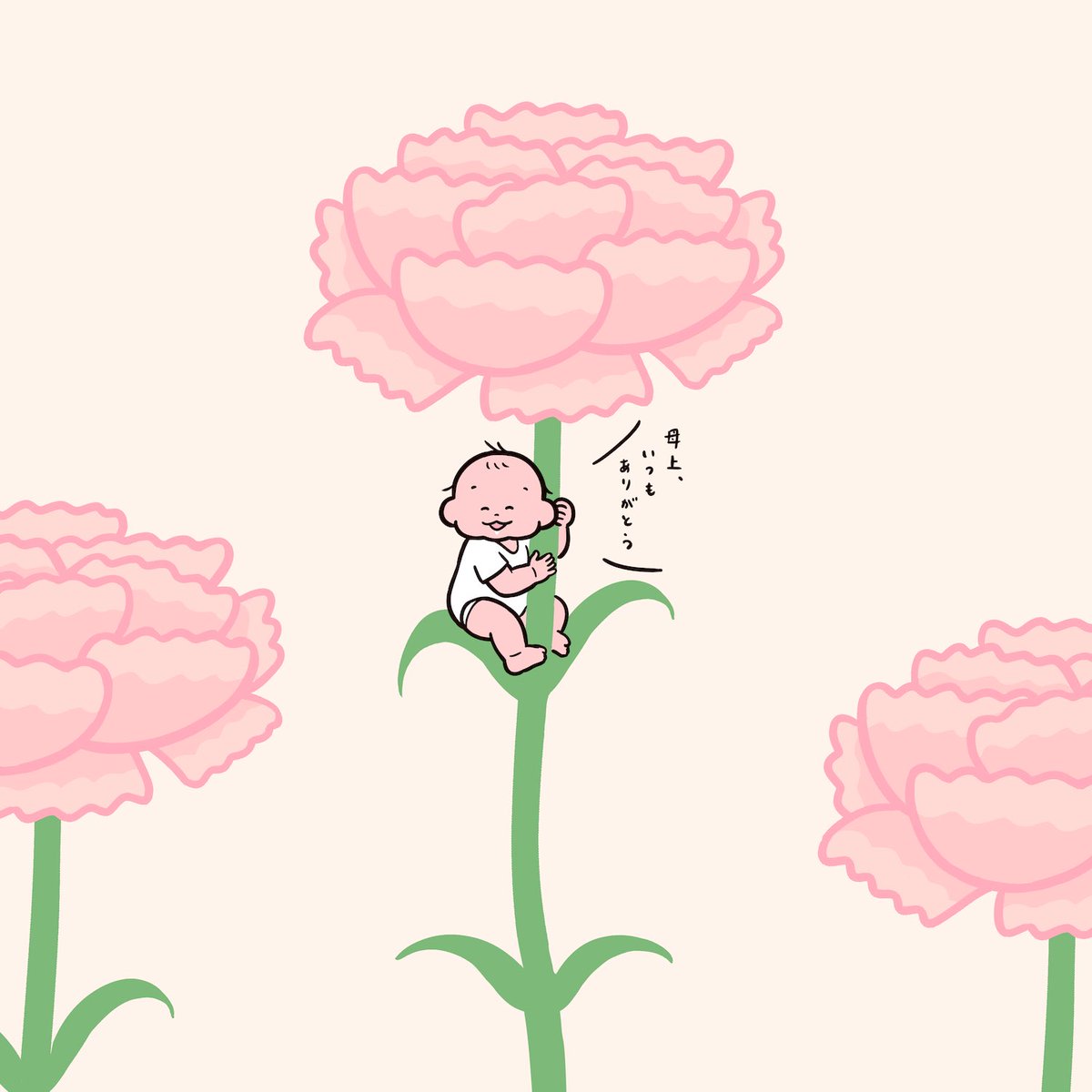 flower sitting white background pink flower simple background solo no humans  illustration images