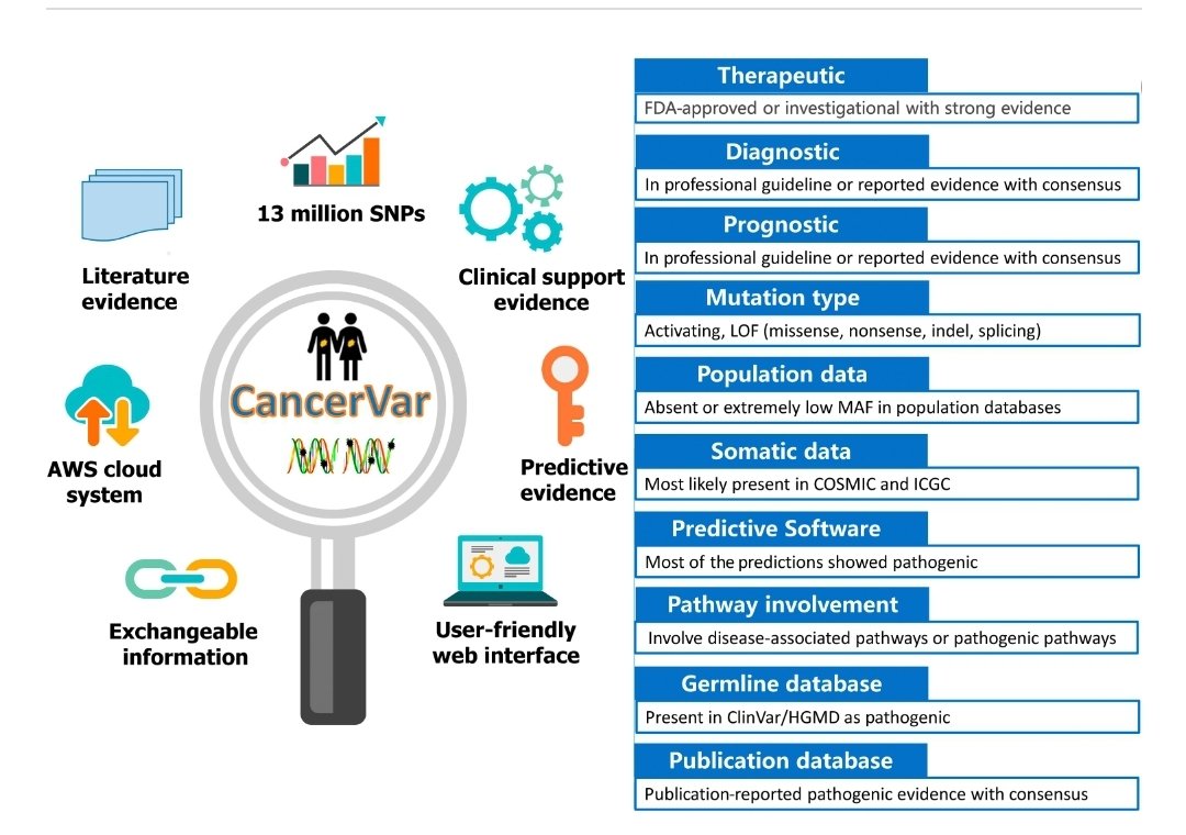 DrAmirAAhmed9's tweet photo. https://t.co/5YzL0ZAawO
CancerVar: An artificial intelligence–empowered platform for clinical interpretation of somatic mutations in cancer
#cancermutation #cancer #CancerResearch #somaticmutation https://t.co/ccNkQteIWZ