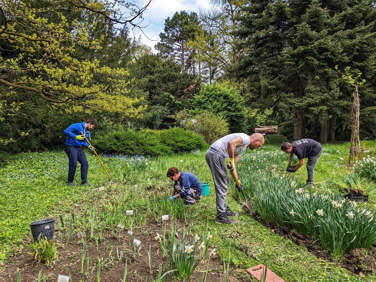 SAPLeanIX's tweet photo. As part of the #LeanIX #SocialDays, where our employees get time off to support a social or environmental cause, our team in Slovenia, spent a day lending their gardening assistance to the Botanic Gardens in  Ljubljana. #sustainability #GreenIX #mentalhealth https://t.co/Ghnq90pXvt