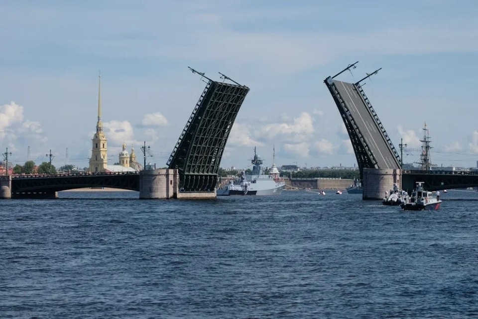 Дворцовый и троицкий мост Дворцовый и троицкий мост