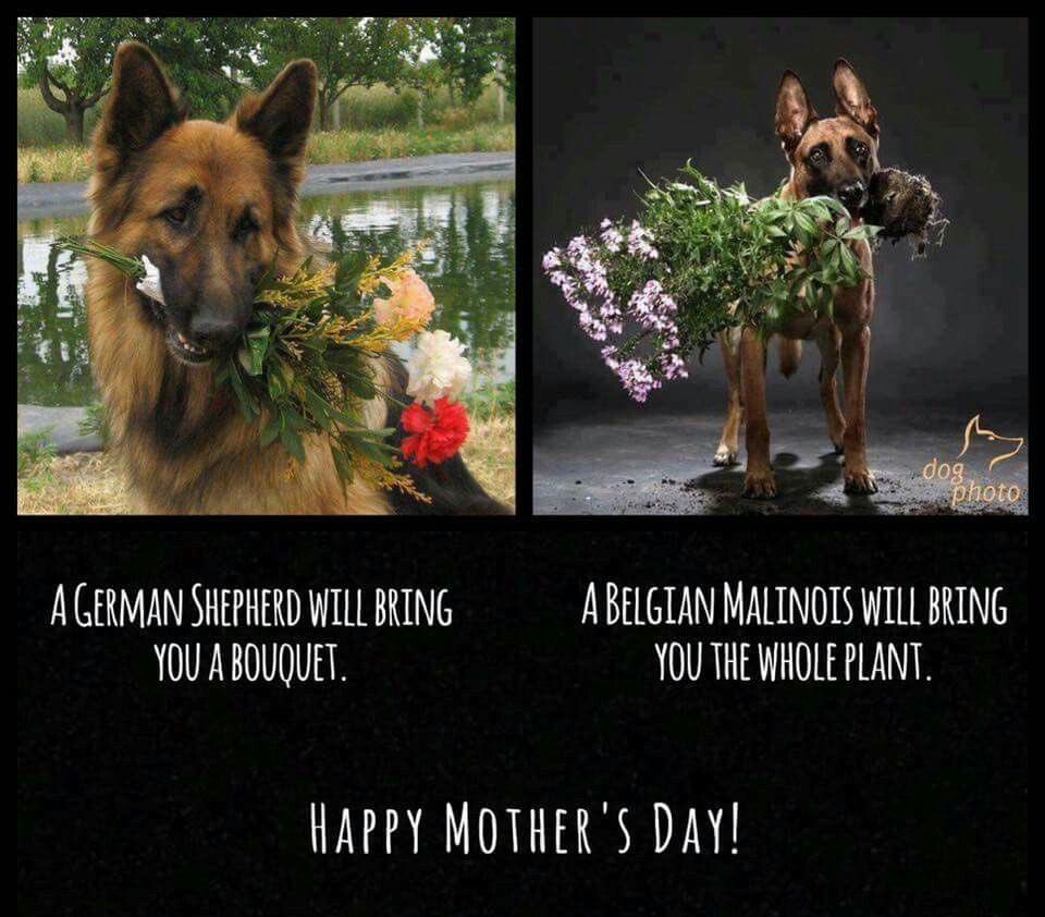 No language can express the power of a MOTHER'S LOVE!

Happy Mother’s day to all mothers around the world. Thank you for being the most selfless, loving and compassionate person to us. We love you!