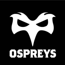 daimogssoapbox's tweet photo. Appointed as #official #timekeeper by @WelshRugbyUnion Refs Dept for todays @URCOfficial game @ospreys v @dragonsrugby at the Swansea Dock Stadium ko 3pm, part of the #RefsTeam as always look forward to these, small part but always a privilege, connected to #rugbyunion #ymaohyd https://t.co/8yFnKMhu57