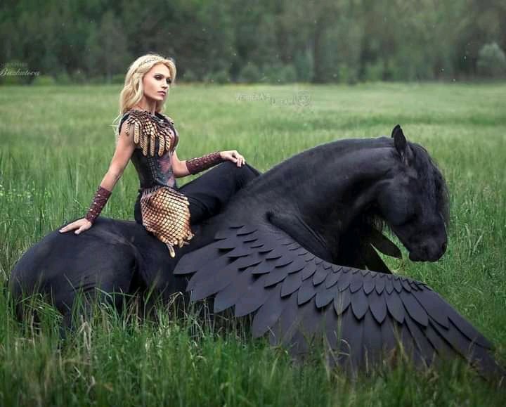 Ethical Soul tweet media