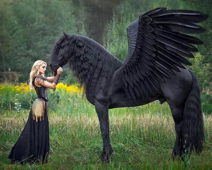 Ethical Soul tweet media