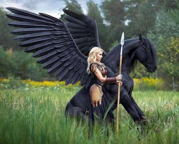 Ethical Soul tweet media