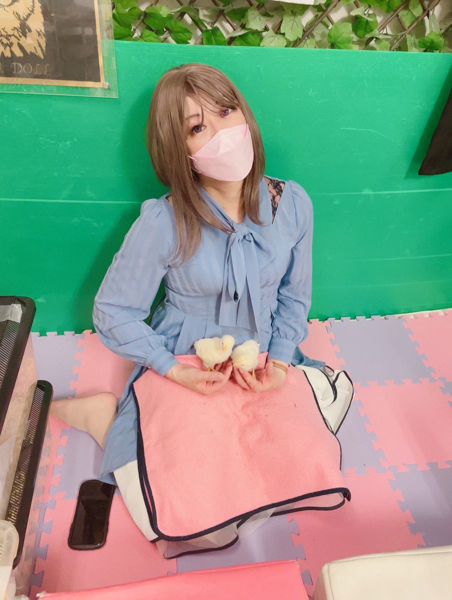 cos_ver_'s tweet photo. トロパティ2日目は打ち上げでガールズおよびひよこと遊びました https://t.co/GFW4g9y2w5
