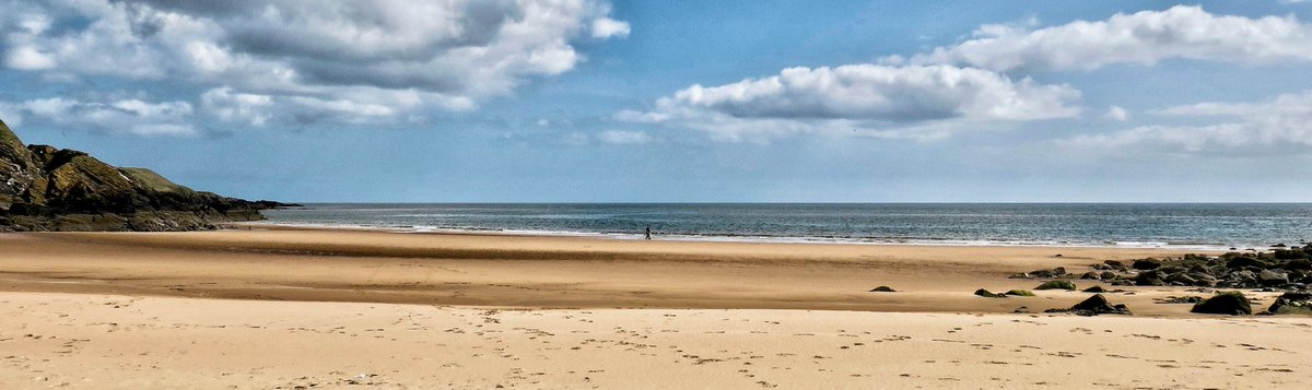 StewartPaul1's tweet photo. A walk from #Collieston to beautiful #Hackley Bay through the #ForvieNature Reserve is a delight. Great to see the house martins building their nests into the rock faces. @VisitScotland @ScotsMagazine #outandaboutscotland #aberdeenshire https://t.co/cRetUuUJ7M