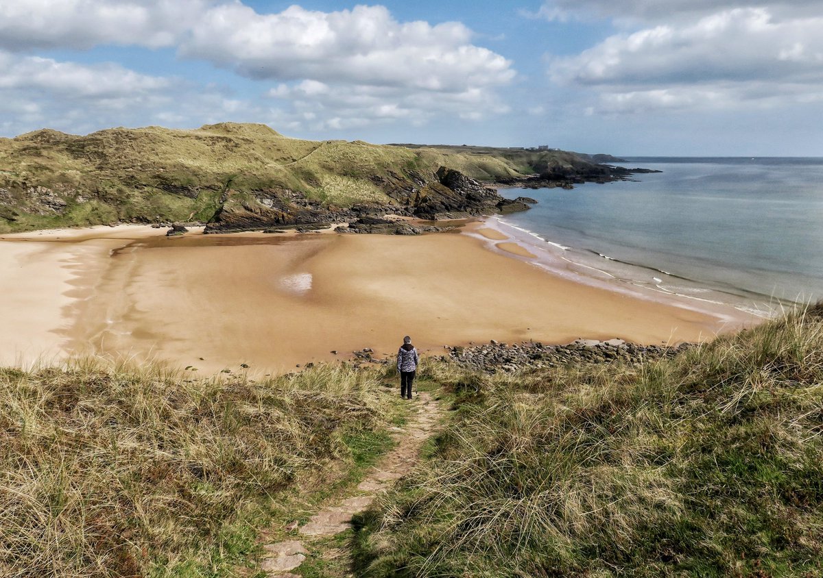 StewartPaul1's tweet photo. A walk from #Collieston to beautiful #Hackley Bay through the #ForvieNature Reserve is a delight. Great to see the house martins building their nests into the rock faces. @VisitScotland @ScotsMagazine #outandaboutscotland #aberdeenshire https://t.co/cRetUuUJ7M