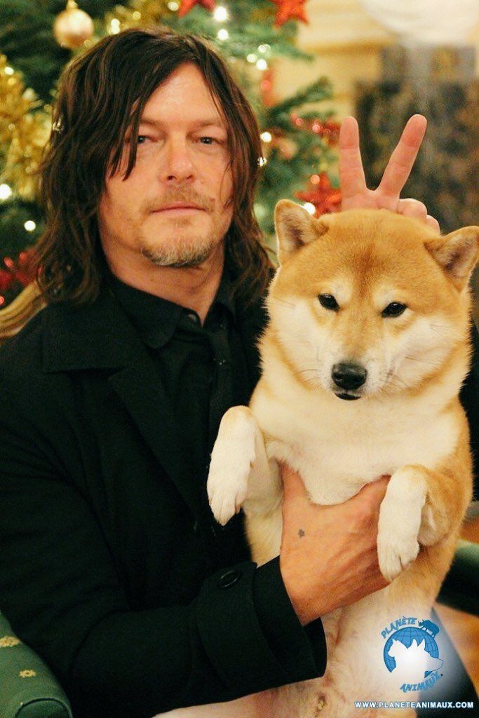 Happy Sunday everyone✌️❤️

#TWDFamily #twd #normanreedus #sundayvibes #goodmorning