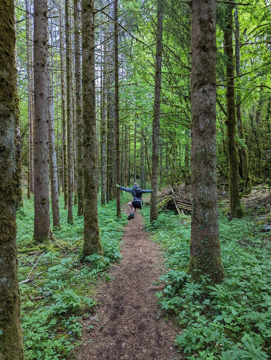 Lucas Abelanet tweet media