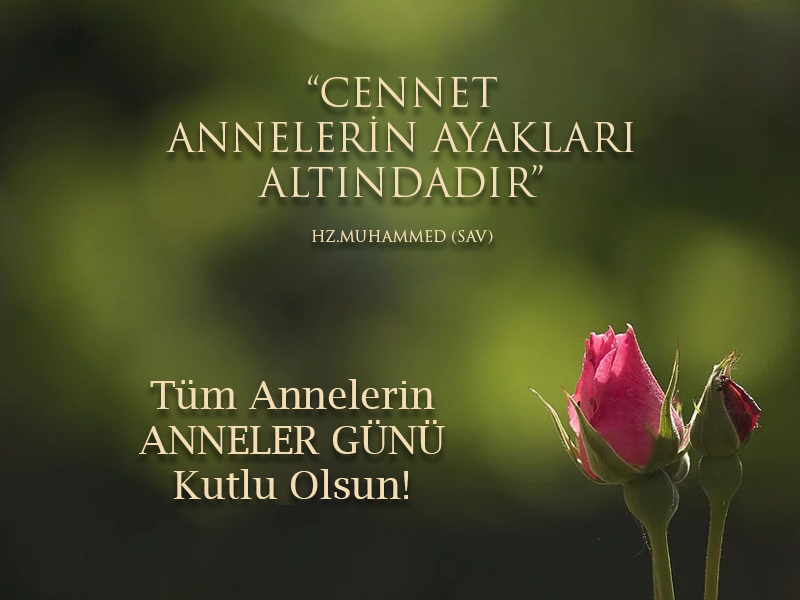 Yazete.com (@yazetecom) on Twitter photo 